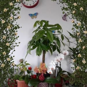 Meet your Posher, Josie